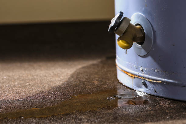 Best Water damage restoration near me  in Whiskey Creek, FL