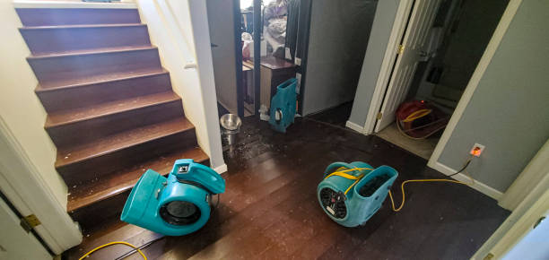 Best Ceiling water damage repair  in Whiskey Creek, FL