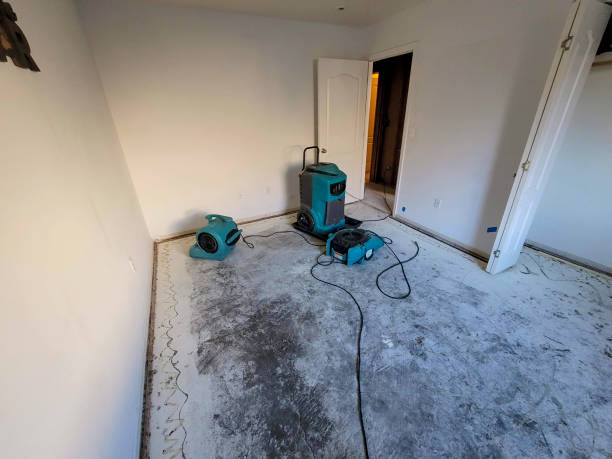 Best 24-hour water damage restoration  in Whiskey Creek, FL