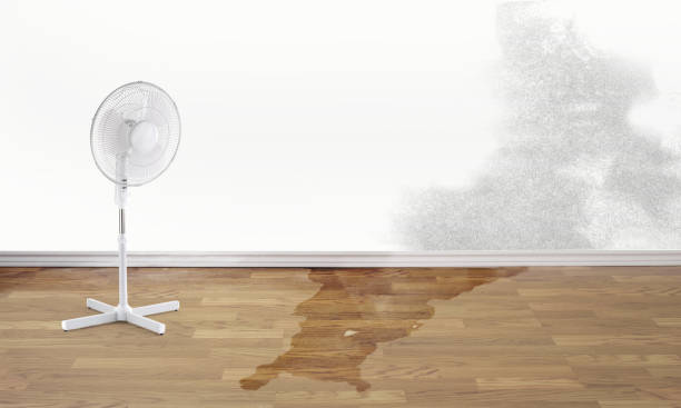 Best 24/7 water damage repair  in Whiskey Creek, FL