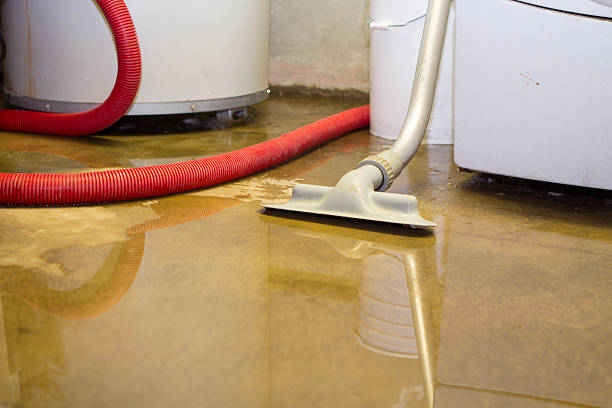 Best Water damage contractors near me  in Whiskey Creek, FL