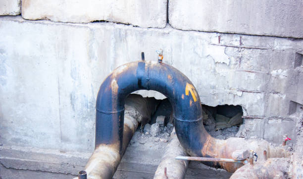 Best Water damage contractors near me  in Whiskey Creek, FL