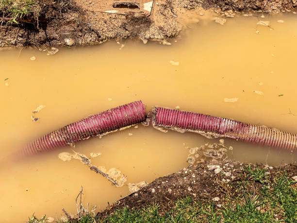 Best Flood restoration services  in Whiskey Creek, FL