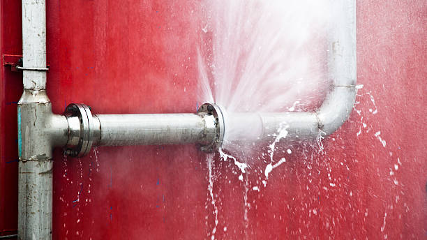 Best Professional water damage repair  in Whiskey Creek, FL